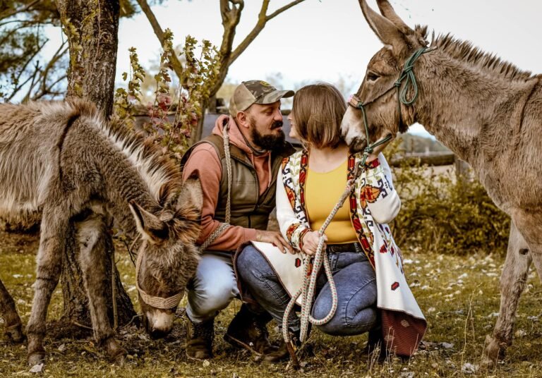 Kisállatfotózás Gyöngyös, Budapest, Eger, Heves megye.
