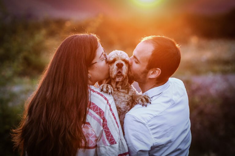 Kisállatfotózás Gyöngyös, Budapest, Eger, Heves megye.