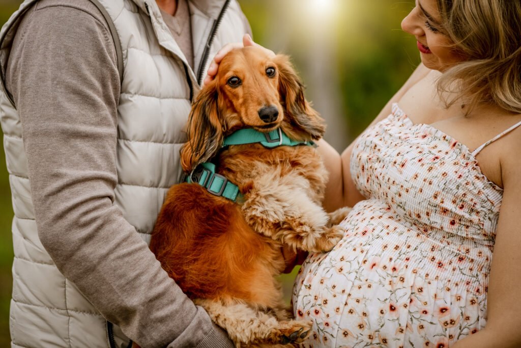 Kismama iskolai fotózás Gyöngyös, Budapest, Heves megye