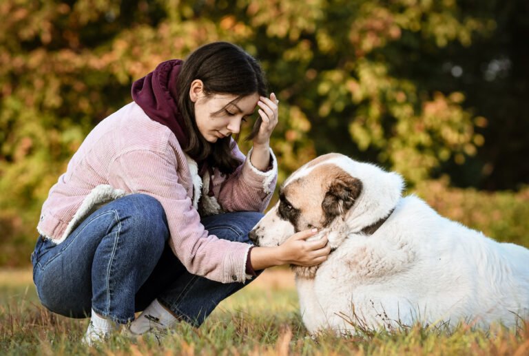 Kisállatfotózás Gyöngyös, Budapest, Eger, Heves megye.