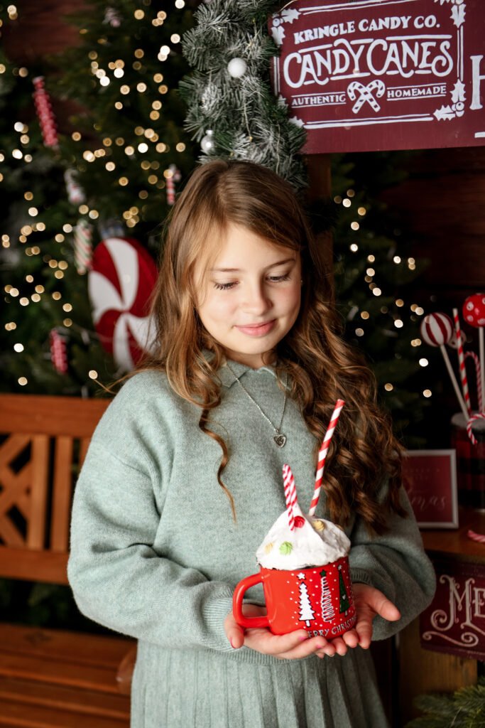 Karácsonyi fotózás Gyöngyös, Budapest, Heves megye