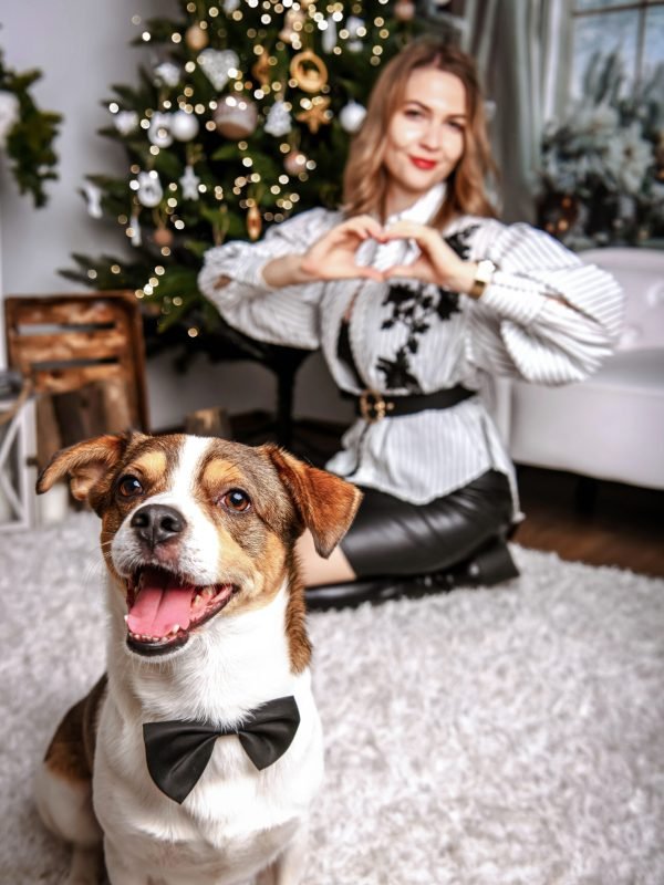 Karácsonyi fotózás Gyöngyös, Budapest, Heves megye