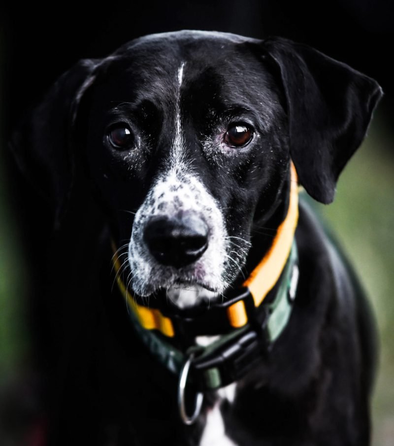 Rendezvényfotózás Gyöngyös, Budapest, Eger, Heves megye.