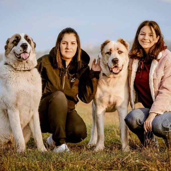 Kisállatfotózás Gyöngyös, Budapest, Eger, Heves megye.