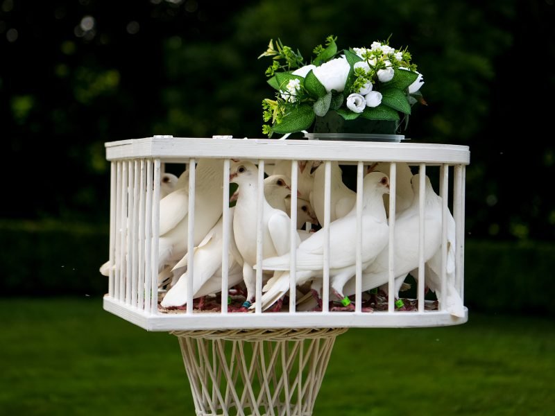 Esküvői fotózás Heves megye, Gyöngyös, Budapest.